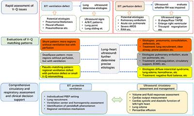 Editorial: Bedside visual image technologies for respiratory and circulatory management in intensive care settings